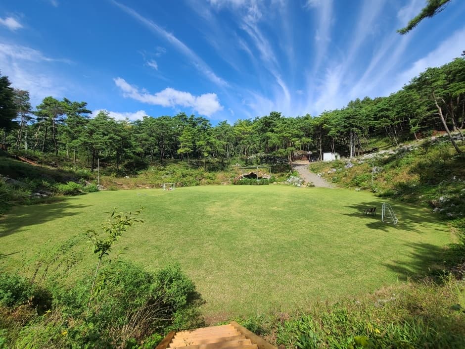 한반도 솔숲쉼터