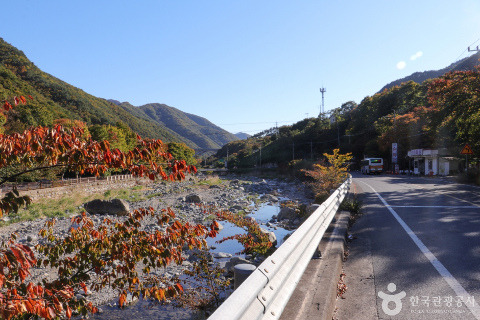 배내골(울산)