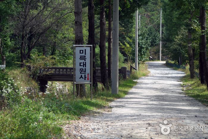 하늘재 트레킹