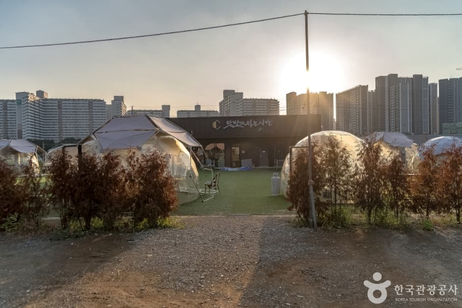 달빛과쉬는시간